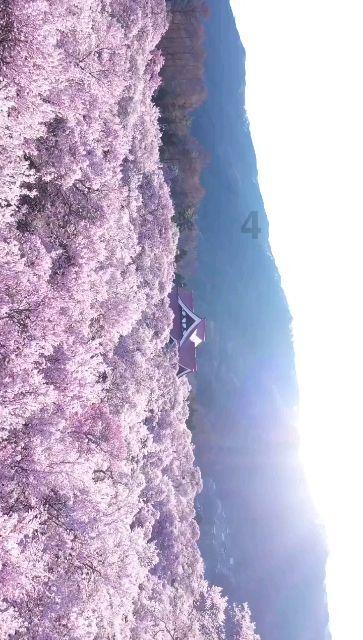 专业有问必答平台-wifi有信号但上不了网怎么办解答一网打尽